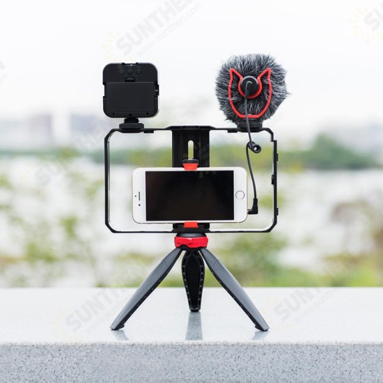 PC203/PC204 Dual Handheld Video Cage Rig Stabilizer Kit Support Recording with Microphone Tripod Phone Adjustable Video Stabilizer Grip Tripod Mount