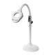 16x LED Magnifying Floor Table Lamp Magnifier Glass Facial Light Stand