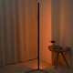 Corner Floor Lamp RGB Color Changing Corner Lamp Dimmable LED bluetooth Ambient Light