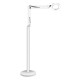 LED Lamp Magnifying Glass Cold Dimmable Floor Light Adjustable Height For Makeup Salon