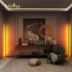 RGB Colour Changing LED Corner Floor Lamp Minimalist Mood Light Modern Home