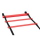 12 Rung Speed Agility Ladder Soccer Sport Ladder Training Carry Bag