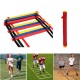 12 Rung Speed Agility Ladder Soccer Sport Ladder Training Carry Bag