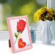 5IN Plastic Photo Frame Craft Gift Photo Frame Rectangular Simple Photo Frame