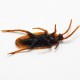 1PC Prank Funny Trick Joke Toys Lifelike Model Simulation Cockroach Kids Children Magic Props