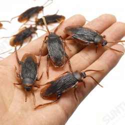 1PC Prank Funny Trick Joke Toys Lifelike Model Simulation Cockroach Kids Children Magic Props 1PC Prank Funny Trick Joke Toys Lifelike Model Simulation Cockroach Kids Children Magic Props