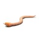 Creative Simulation Electronic Remote Control Realistic RC Snake Toy Prank Gift Model Halloween Creative Simulation Electronic Remote Control Realistic RC Snake Toy Prank Gift Model Halloween