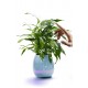 Potted Rims Speakers Creative Intelligent Music Speaker Flower Pot Toys Of Wireless bluetooth Stereo Potted Rims Speakers Creative Intelligent Music Speaker Flower Pot Toys Of Wireless bluetooth Stereo