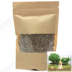 DIY Impermeable Bottom Stone Mosses Micro Landscape Ecology DIY Impermeable Bottom Stone Mosses Micro Landscape Ecology