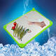Kitchen Green Defrosting Tray Thaw Frozen Food Plate Quick Time Safe Defrost Anti-bacteria Kitchen Green Defrosting Tray Thaw Frozen Food Plate Quick Time Safe Defrost Anti-bacteria