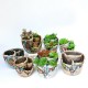 10 Styles Succulent Desktop Flower Pot Plants Planter Garden Plants Holder Home Window Decoration