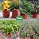 130PCS Plastic Plant Flower Pots 4inch Succulent Nursery Drainage Holes Pot