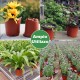 130PCS Plastic Plant Flower Pots 4inch Succulent Nursery Drainage Holes Pot