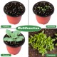 130PCS Plastic Plant Flower Pots 4inch Succulent Nursery Drainage Holes Pot