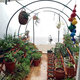 3X2X2M Greenhouse Planter House Canopy Outdoor Plant Garden Grow Growing House