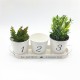 3pcs/Set Iron Bucket Flower Pot Tray Small Pots Herbs Planter Garden Window Pots