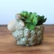 Animal Style Mini Flower Pot For Succulents Fleshy Plants Flower Pot Ceramic Pot