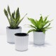 Automatic Water Absorption Creative Succulent Plant Hydroponic Potted Round Plastic Plastic Flower Pot