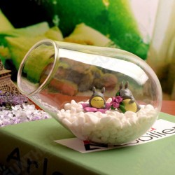 Cannon Shaped DIY Moss Micro Landscape Glass Bottle Succulent Plants Vase Home Decoration Cannon Shaped DIY Moss Micro Landscape Glass Bottle Succulent Plants Vase Home Decoration