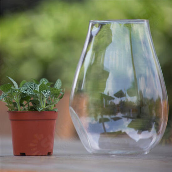 Cannon Shaped DIY Moss Micro Landscape Glass Bottle Succulent Plants Vase Home Decoration Cannon Shaped DIY Moss Micro Landscape Glass Bottle Succulent Plants Vase Home Decoration