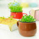 Ceramics DIY Mini Coffee Cup Potted Plant Office Desktop Plant Decor