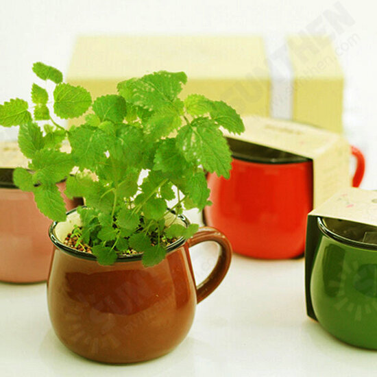 Ceramics DIY Mini Coffee Cup Potted Plant Office Desktop Plant Decor