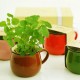 Ceramics DIY Mini Coffee Cup Potted Plant Office Desktop Plant Decor