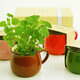 Ceramics DIY Mini Coffee Cup Potted Plant Office Desktop Plant Decor