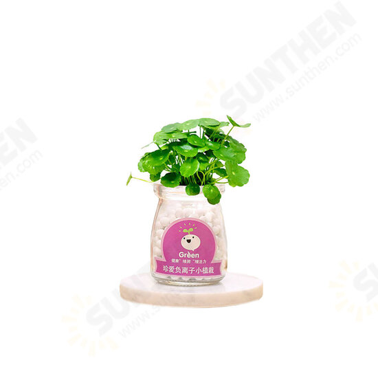 Creative DIY Negative Ion Hydroponic Potted Desktop Water Pebble Carbon Ball Anti-radiation Mini Flower Pot