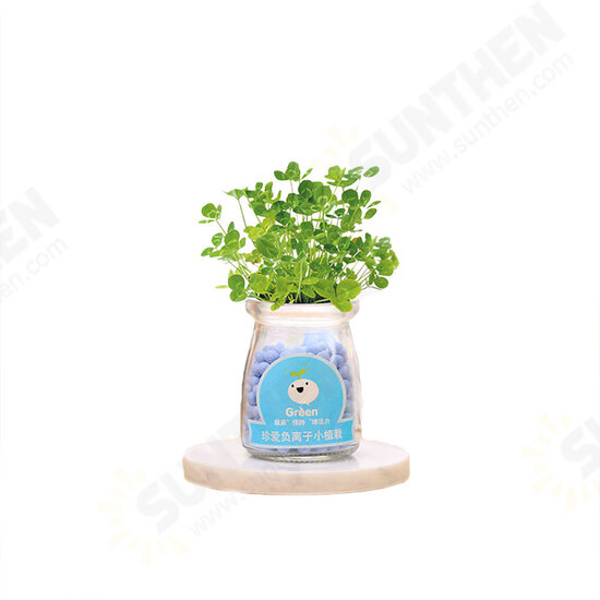 Creative DIY Negative Ion Hydroponic Potted Desktop Water Pebble Carbon Ball Anti-radiation Mini Flower Pot Creative DIY Negative Ion Hydroponic Potted Desktop Water Pebble Carbon Ball Anti-radiation Mini Flower Pot