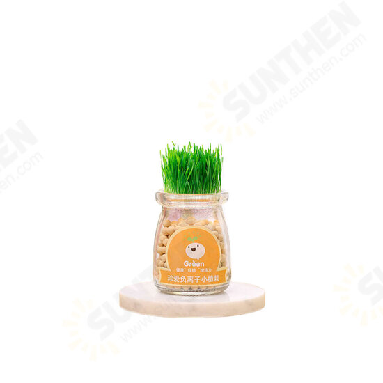 Creative DIY Negative Ion Hydroponic Potted Desktop Water Pebble Carbon Ball Anti-radiation Mini Flower Pot Creative DIY Negative Ion Hydroponic Potted Desktop Water Pebble Carbon Ball Anti-radiation Mini Flower Pot