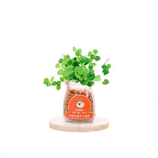 Creative DIY Negative Ion Hydroponic Potted Desktop Water Pebble Carbon Ball Anti-radiation Mini Flower Pot