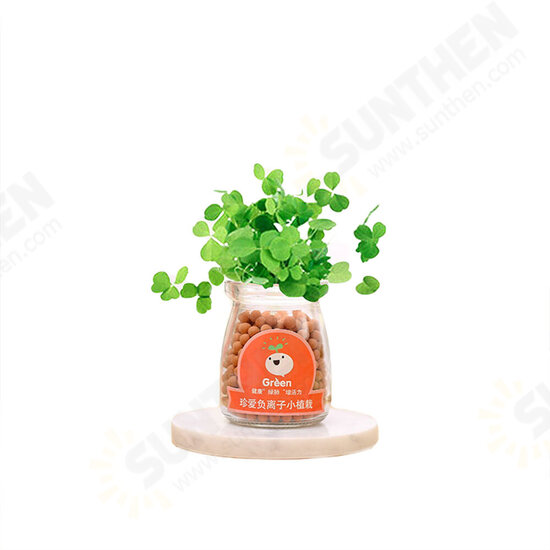 Creative DIY Negative Ion Hydroponic Potted Desktop Water Pebble Carbon Ball Anti-radiation Mini Flower Pot