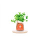 Creative DIY Negative Ion Hydroponic Potted Desktop Water Pebble Carbon Ball Anti-radiation Mini Flower Pot Creative DIY Negative Ion Hydroponic Potted Desktop Water Pebble Carbon Ball Anti-radiation Mini Flower Pot