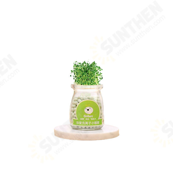 Creative DIY Negative Ion Hydroponic Potted Desktop Water Pebble Carbon Ball Anti-radiation Mini Flower Pot Creative DIY Negative Ion Hydroponic Potted Desktop Water Pebble Carbon Ball Anti-radiation Mini Flower Pot