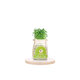 Creative DIY Negative Ion Hydroponic Potted Desktop Water Pebble Carbon Ball Anti-radiation Mini Flower Pot Creative DIY Negative Ion Hydroponic Potted Desktop Water Pebble Carbon Ball Anti-radiation Mini Flower Pot