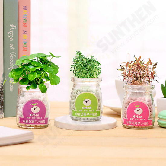 Creative DIY Negative Ion Hydroponic Potted Desktop Water Pebble Carbon Ball Anti-radiation Mini Flower Pot Creative DIY Negative Ion Hydroponic Potted Desktop Water Pebble Carbon Ball Anti-radiation Mini Flower Pot