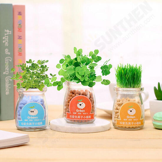 Creative DIY Negative Ion Hydroponic Potted Desktop Water Pebble Carbon Ball Anti-radiation Mini Flower Pot