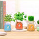 Creative DIY Negative Ion Hydroponic Potted Desktop Water Pebble Carbon Ball Anti-radiation Mini Flower Pot Creative DIY Negative Ion Hydroponic Potted Desktop Water Pebble Carbon Ball Anti-radiation Mini Flower Pot