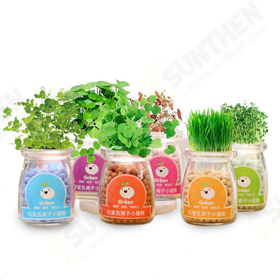 Creative DIY Negative Ion Hydroponic Potted Desktop Water Pebble Carbon Ball Anti-radiation Mini Flower Pot Creative DIY Negative Ion Hydroponic Potted Desktop Water Pebble Carbon Ball Anti-radiation Mini Flower Pot