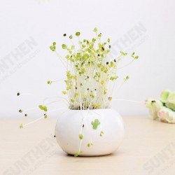 DIY Mini Ceramic Cactus Grass Potted Plant Desktop Office Decor DIY Mini Ceramic Cactus Grass Potted Plant Desktop Office Decor