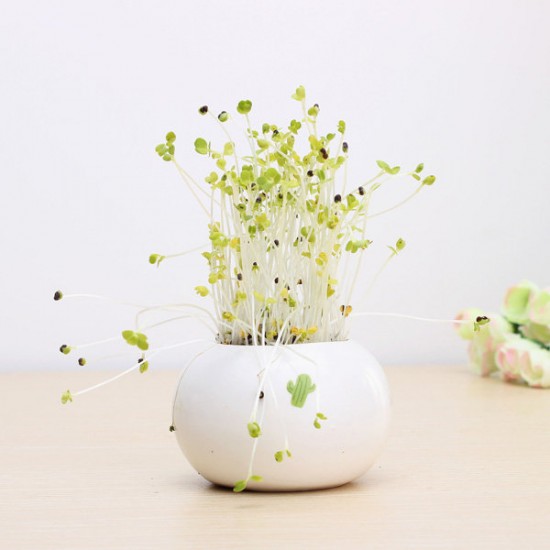 DIY Mini Ceramic Cactus Grass Potted Plant Desktop Office Decor