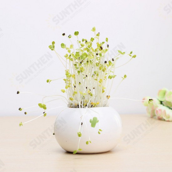 DIY Mini Ceramic Cactus Grass Potted Plant Desktop Office Decor