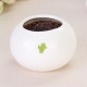 DIY Mini Ceramic Cactus Grass Potted Plant Desktop Office Decor