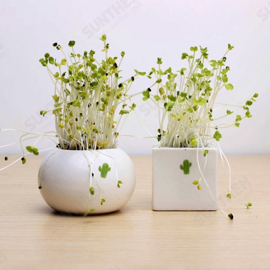 DIY Mini Ceramic Cactus Grass Potted Plant Desktop Office Decor