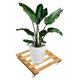 Flower Plant Pot Stand Base Saucer Tray Rack Roller Moved Pulley Wheel Garden Decorations Flower Plant Pot Stand Base Saucer Tray Rack Roller Moved Pulley Wheel Garden Decorations