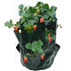 Garden 8 Pockets Strawberry Planter Yard Balcony Vegetable Fruit Herbs Planting Growing Bag