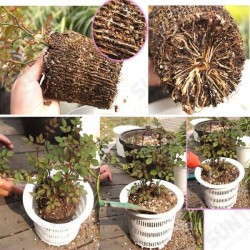 Multicolor Resin Control Root Flower Pots Hydroponics Soilless Planting Pots Multicolor Resin Control Root Flower Pots Hydroponics Soilless Planting Pots