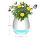 Music Flower Pot Smart Touch Plant Play Sevven Color Lamp Piano LED Lamp Light bluetooth