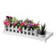 PP Plant Tray Succulents Seedling Drain Balcony Growing Holder Nursery Garden Decorations